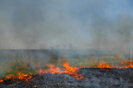 Prairie Grassland Fires Image